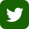 Twitter Logo Icon Dark Green